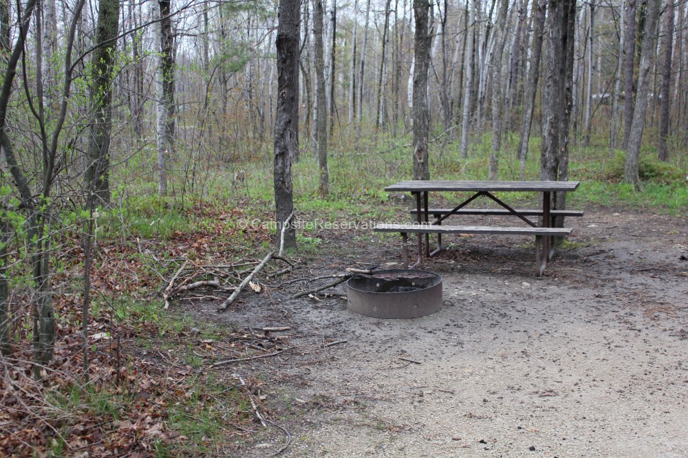 Photo of Campsite 471 in Tennison Bay Campground at Peninsula State